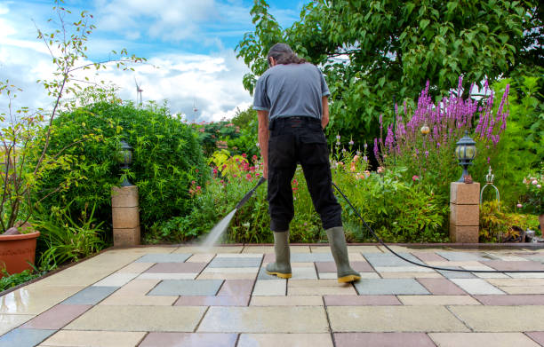 Trusted Gibraltar, MI Pressure Washing Services Experts